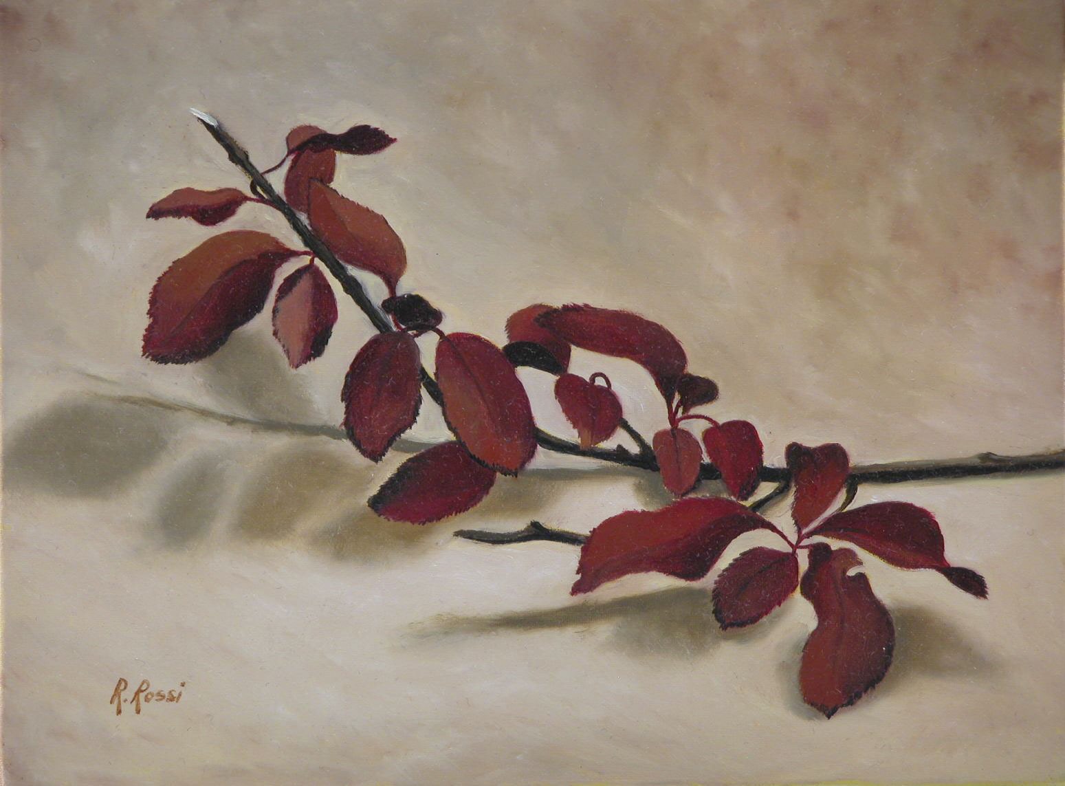 2008 roberta rossi – Rametto – olio su tela – 18 x 24